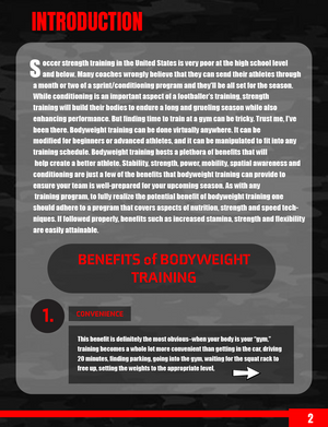 The Bodyweight Program